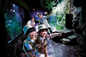 SLBK Rainforest
