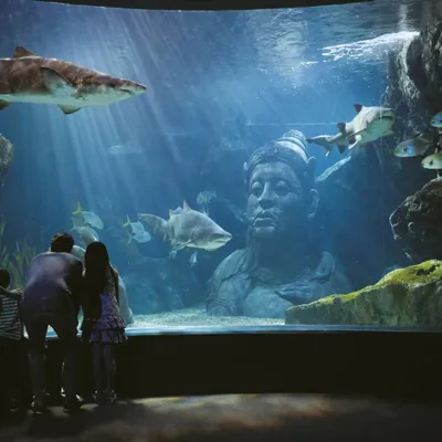 F5316873292c4ce85689911612f344856951a01a33f083b7a40bb6c8c06c48aa.0