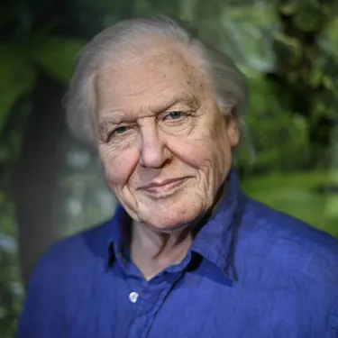 AD MT Attenborough 002