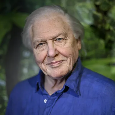 AD MT Attenborough 002