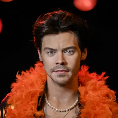 Harry Styles