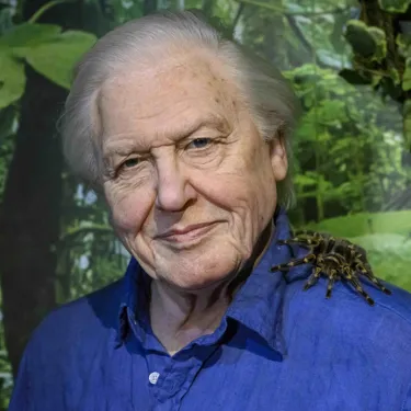 AD MT Attenborough 005
