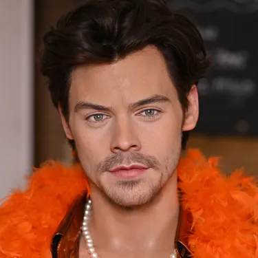 Harry Styles