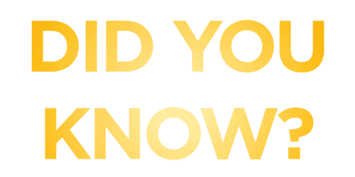 MTL DID YOU KNOW TRANSPARENT