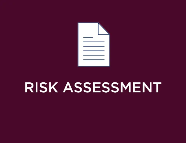Risk Assessment Icon (3)