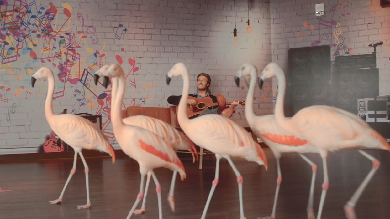 National Flamingo Day Madame Tussauds Nashville