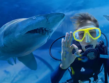 SLSA Shark Dive Xtreme